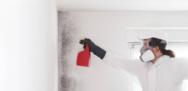 Best Crawl Space Mold Removal  in New Mford, IL