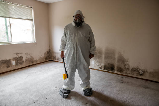 Best Commercial Mold Removal  in New Mford, IL